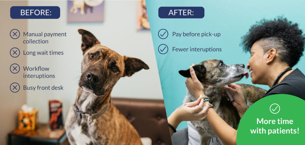 PETVET365 Story 02 (1)